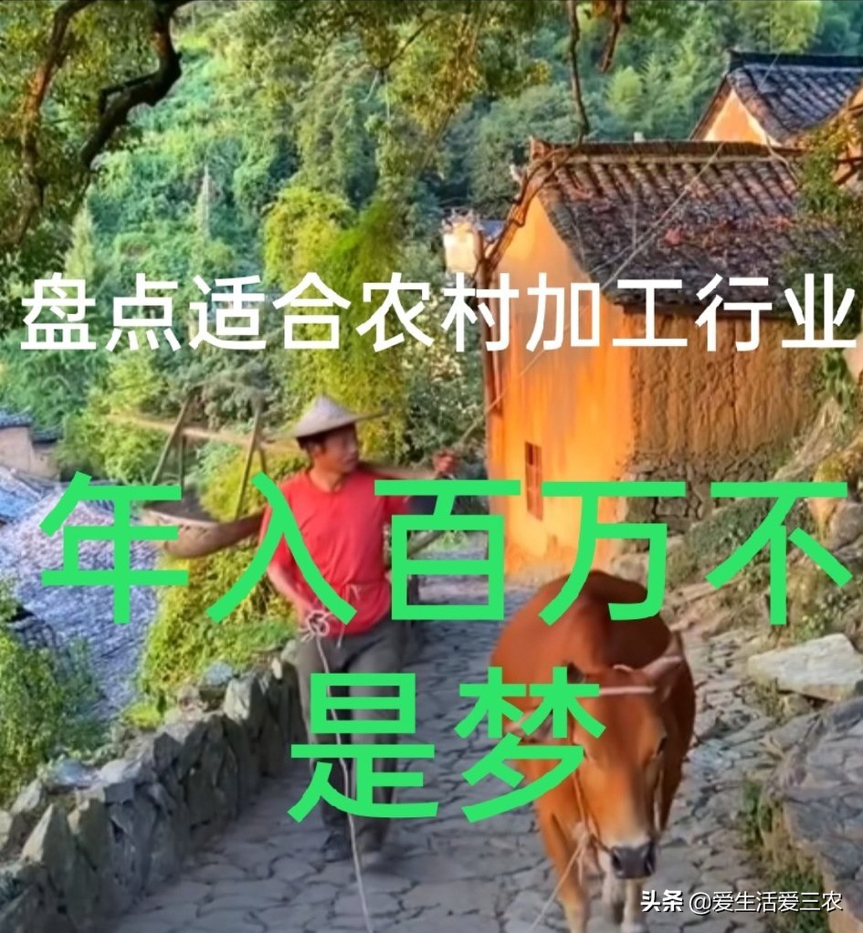 农村代加工办厂,注册加工厂要哪些条件,加工办厂