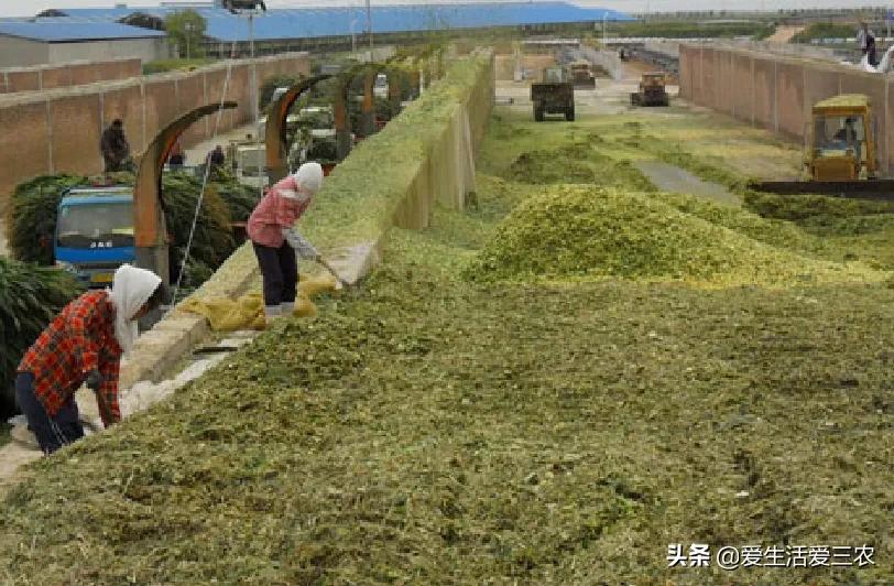 农村代加工办厂,注册加工厂要哪些条件,加工办厂