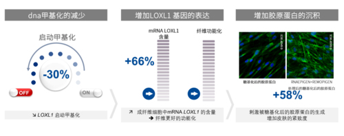 蔓之研护肤品怎么样,护肤品排行榜前十名,蔓之研