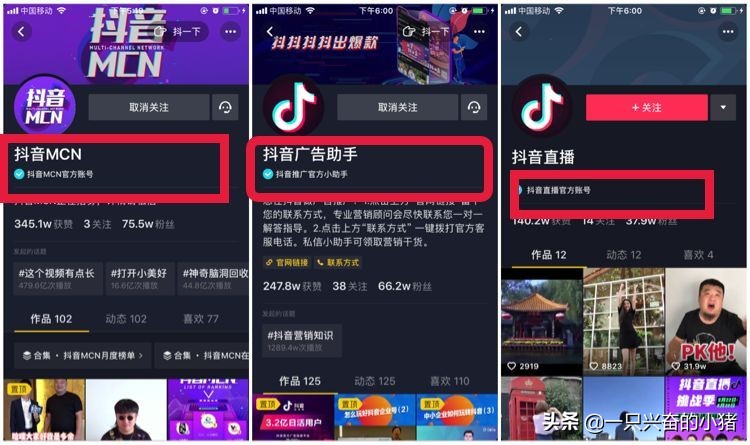 抖音号怎么搜索不到用户,知道抖音号却搜索不出来怎么回事,抖音号怎么搜索