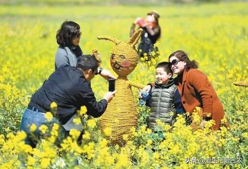 投资赚钱好项目加盟,未来几年前景很好的8个项目,投资赚钱好项目