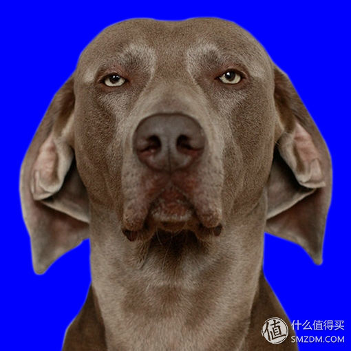 手机简单的p图软件,新手好用的p图软件推荐,简单的p图软件