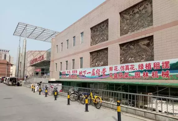 北京宠物市场在哪,北京十大花鸟鱼虫市场逛街攻略,北京宠物市场
