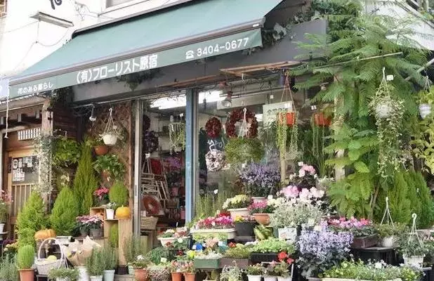 女孩子开花店赚钱吗,女生适合开的三种店,开花店赚钱吗