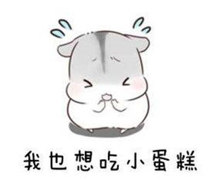 淘宝买电脑哪个店靠谱,揭秘淘宝上买组装机靠谱吗,淘宝买电脑