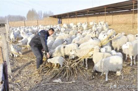 致富项目小本生意,6个销路好的小型致富投资项目,致富项目