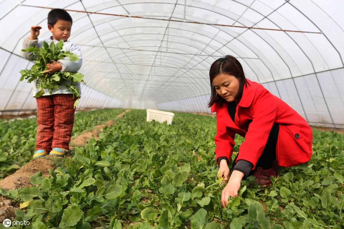 干什么挣钱来的快风险小,2021年最赚钱的行业推荐,干什么挣钱