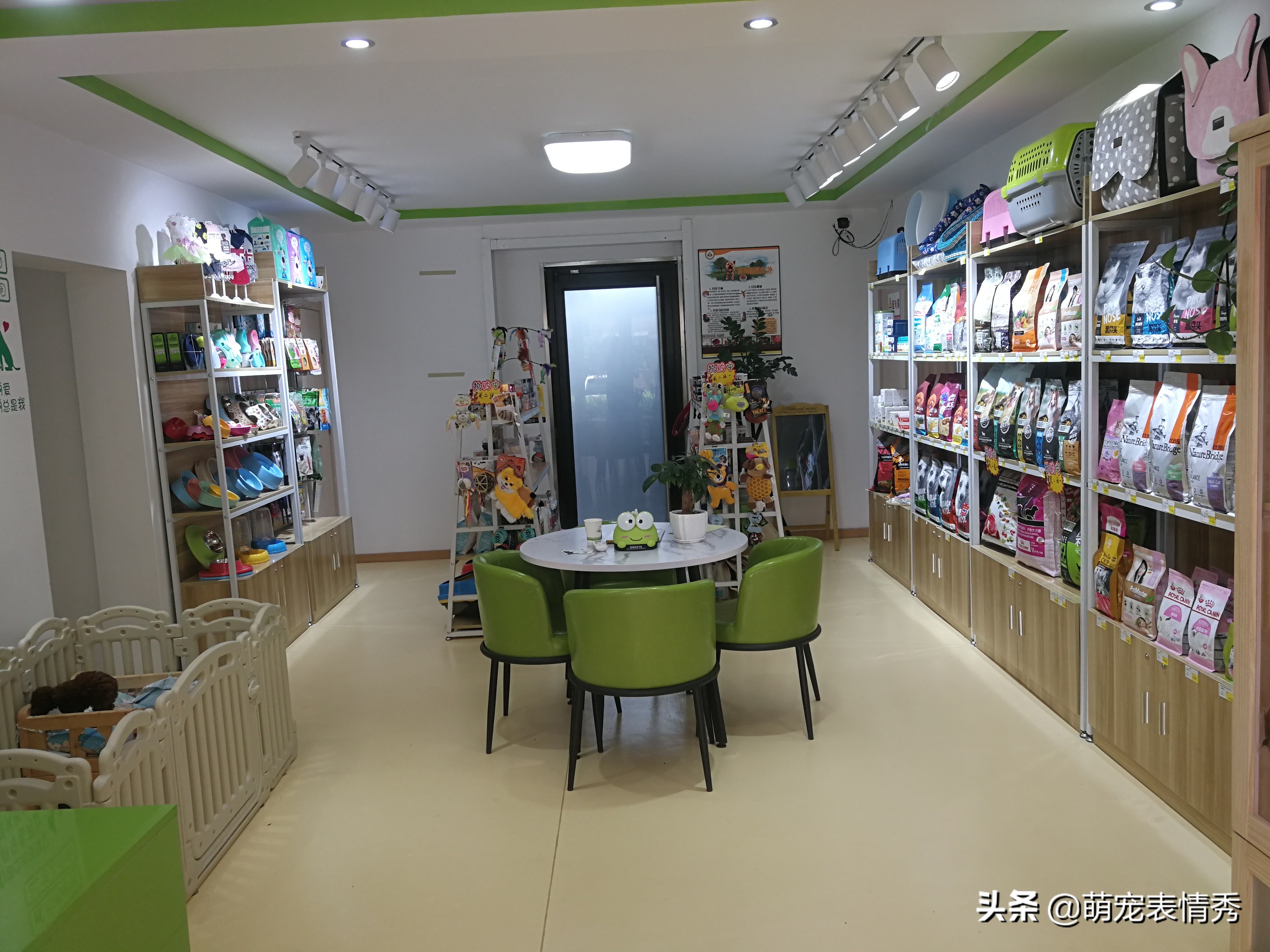 网上自己开宠物用品店赚钱吗,全案解析宠物行业的暴利,开宠物用品店赚钱吗