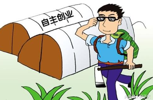 申请国家补贴项目有哪些,2021国家扶持4大项目申请,国家补贴项目有哪些
