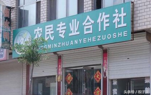 申请国家补贴项目有哪些,2021国家扶持4大项目申请,国家补贴项目有哪些