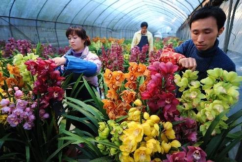 青岛外贸服装批发市场怎么样,青岛批发市场购物攻略,青岛外贸服装批发