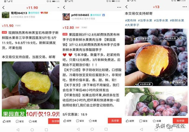 闲鱼无货源怎么赚钱快,新手轻松月入1万的闲鱼玩法,闲鱼怎么赚钱