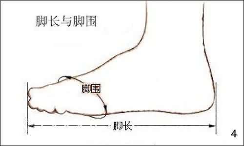 中国女人鞋尺码对照表,鞋码怎么测量才标准,鞋尺码对照表
