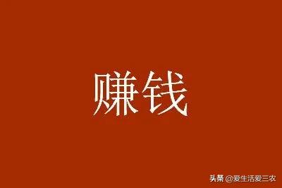 农村怎样致富快,2021年前景最好的项目,农村怎样致富