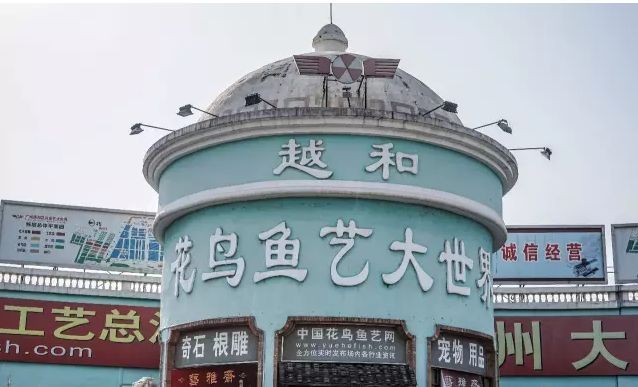 广州大型批发市场怎么样,广州各批发市场一览表,广州大型批发市场