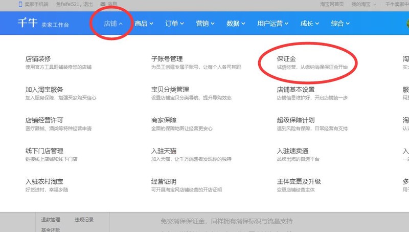 淘宝保证金是什么,淘宝保证金入口介绍,保证金是什么