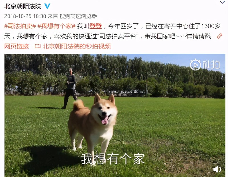 阿里司法拍卖网首页,全面解析阿里司法拍卖,阿里司法拍卖