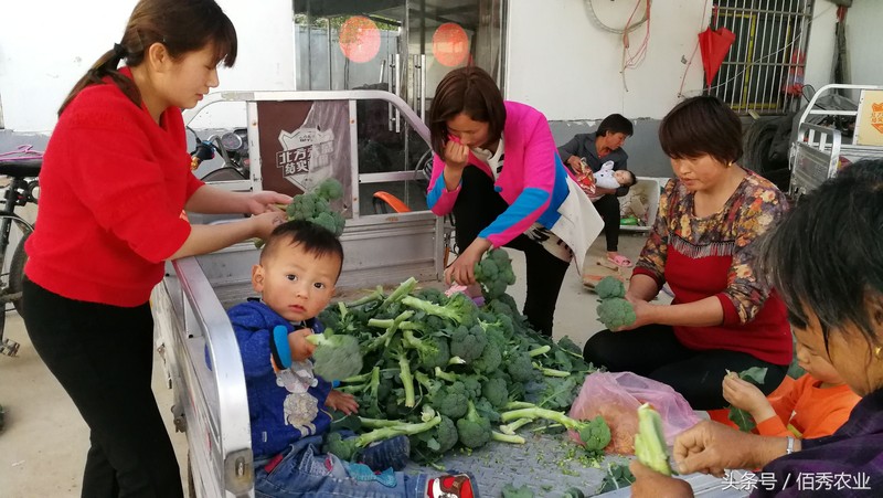 农村干什么能挣钱啊,不起眼的暴利小生意,干什么能挣钱啊