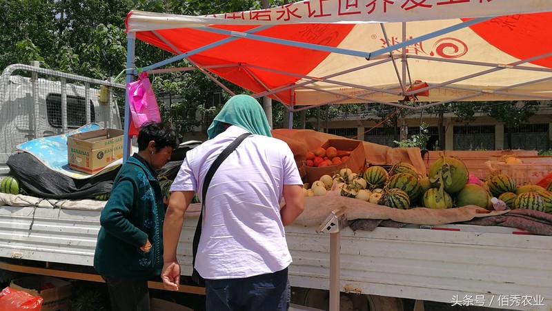 农村干什么能挣钱啊,不起眼的暴利小生意,干什么能挣钱啊