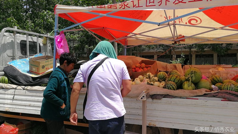 农村干什么能挣钱啊,不起眼的暴利小生意,干什么能挣钱啊