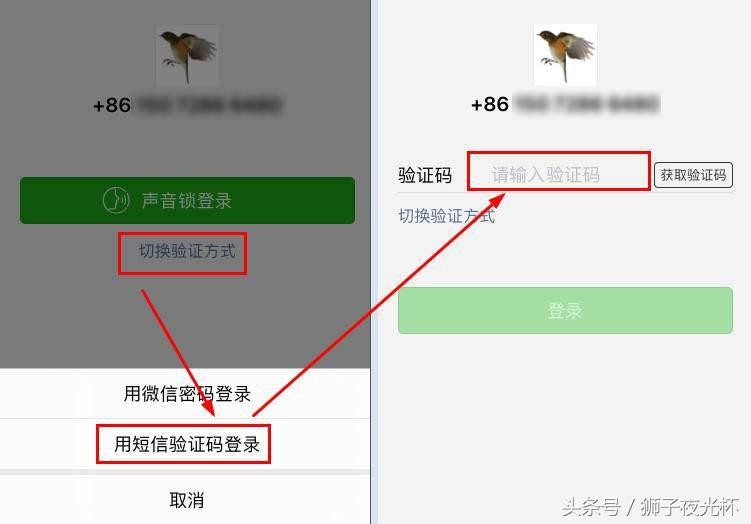 自己的支付宝密码忘了怎么办,分享一个实用有效的方法,支付宝密码忘了怎么办