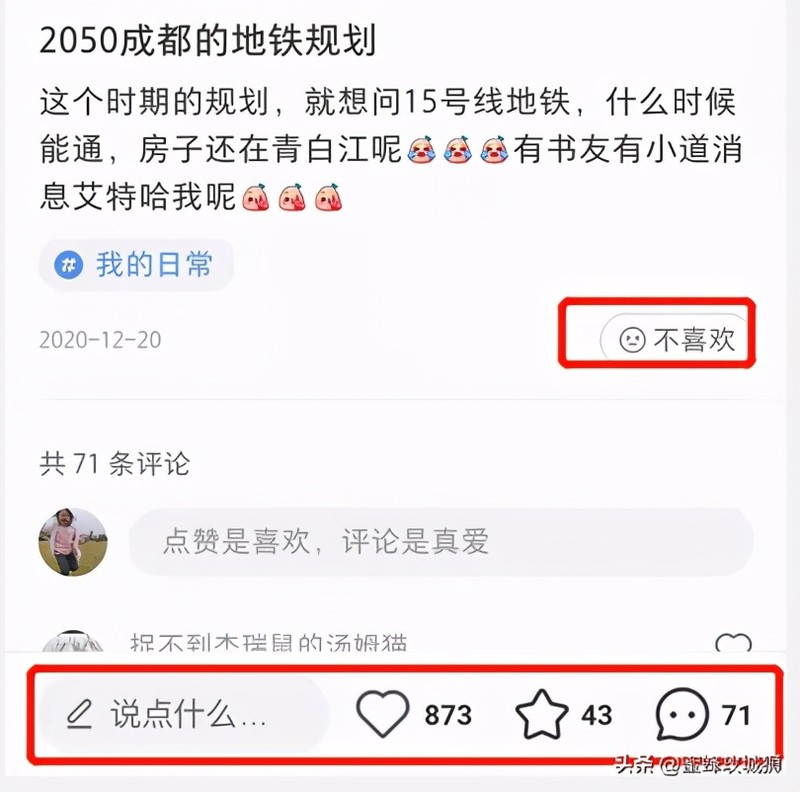 小红书是什么软件干什么的,关于小红书的详细介绍, 小红书是什么软件