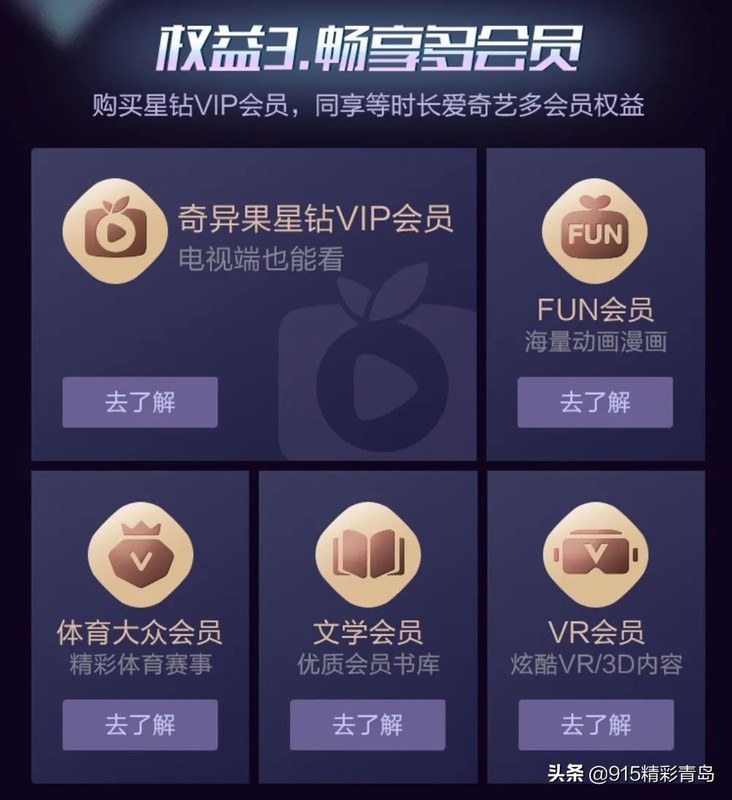 黄金会员和星钻会员的区别,详解爱奇艺会员体系,黄金会员