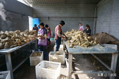 适合农村个人在家创业项目,没人注意的7个暴利行业,适合农村个人在家创业项目