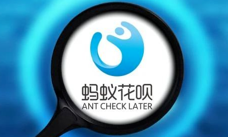 正常使用花呗要利息吗,举例花呗借款10000利息,用花呗要利息吗