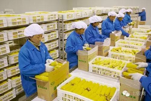 食品加工好项目有哪些,2021年农村食品加工项目,食品加工好项目