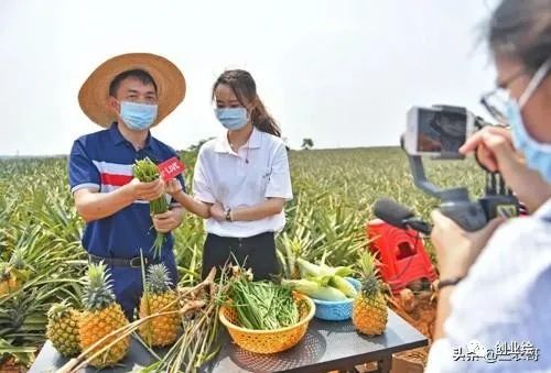 农业家庭小型室内养殖项目,新手比较挣钱的养殖项目,家庭小型室内养殖项目