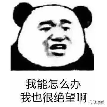 我的支付宝怎么没有花呗功能,10秒强制开通花呗方法,我的支付宝怎么没有花呗