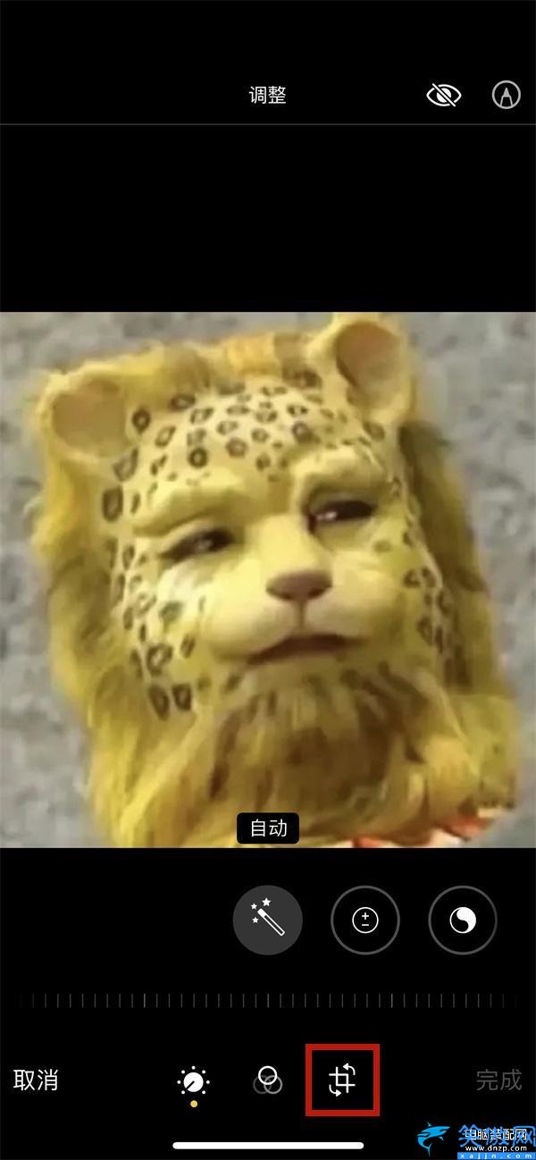 手机怎么镜像翻转图片,苹果13照片使用镜面翻转步骤介绍