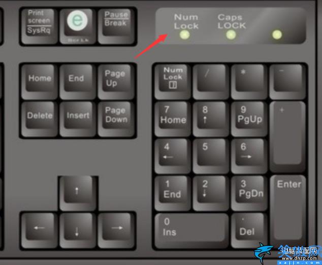 键盘打不了字按哪个键恢复,解锁电脑键盘被锁住的方法