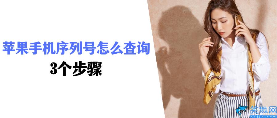 苹果序列号查询官网入口在哪里,iPhone手机序列号查询三个步骤
