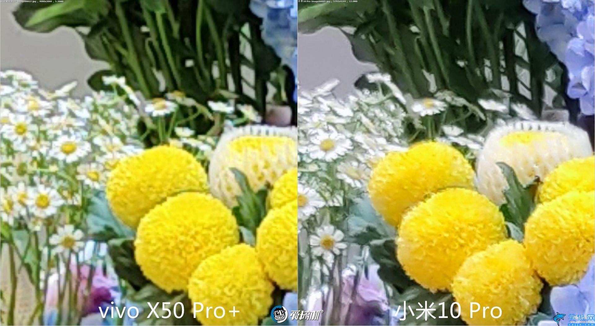 x50pro+的配置详细参数,vivo X50 Pro+评测