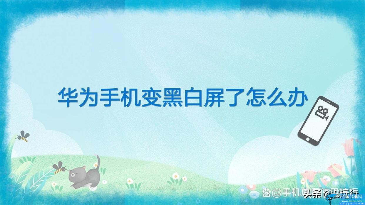 华为手机屏幕变成灰色怎么恢复彩色,华为手机变黑白屏了恢复色彩教程