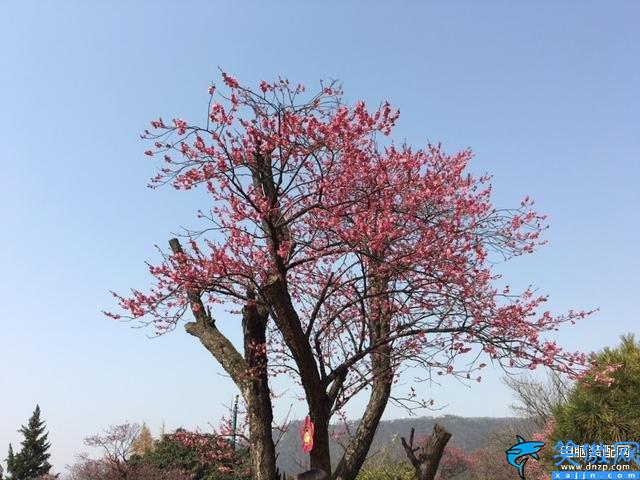 苹果手机压缩图片怎么操作,压缩图片大小的方法详述