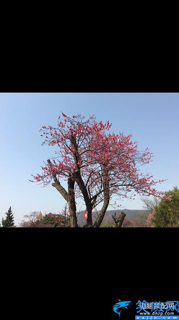 苹果手机压缩图片怎么操作,压缩图片大小的方法详述