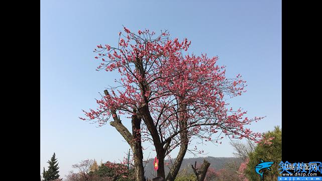 苹果手机压缩图片怎么操作,压缩图片大小的方法详述