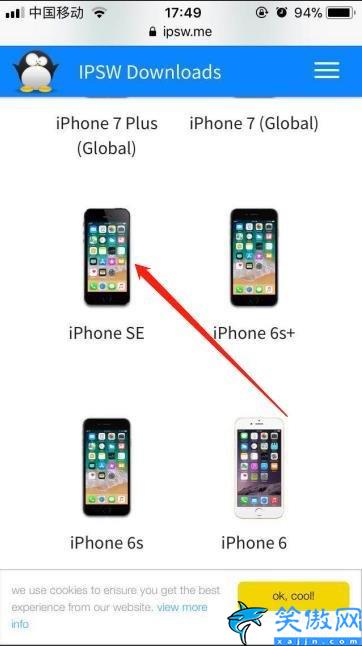 iphone可降级版本怎么查询,iPhone系统降级 附教程