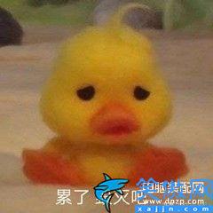 temp是什么文件夹可以删除吗,手机内存不足的清理技巧