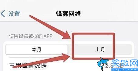 苹果手机怎么查看流量使用情况,实时监控iPhone上网流量技巧