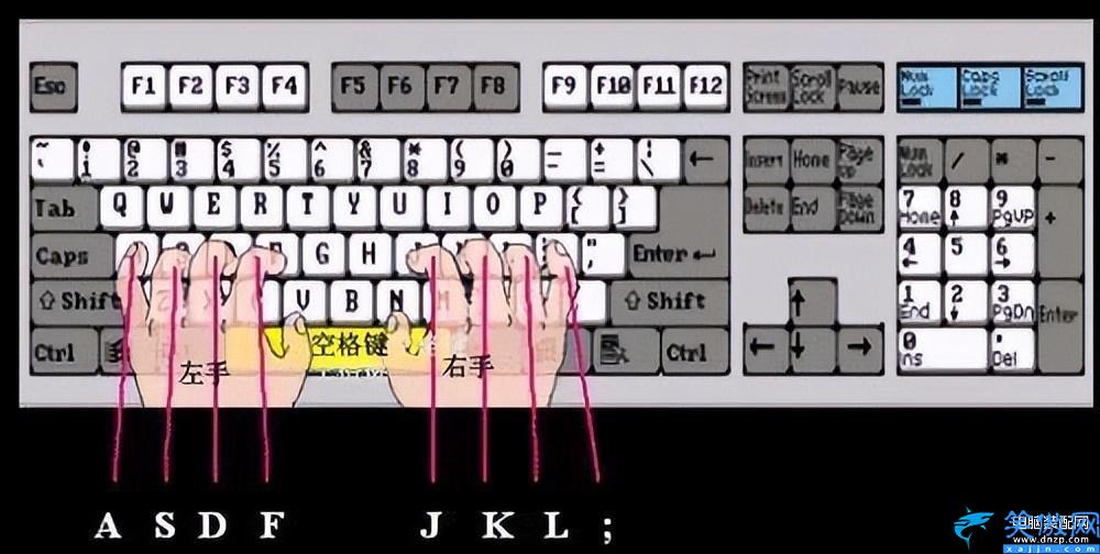 电脑键盘键位图详细介绍,最全键盘功能示意图