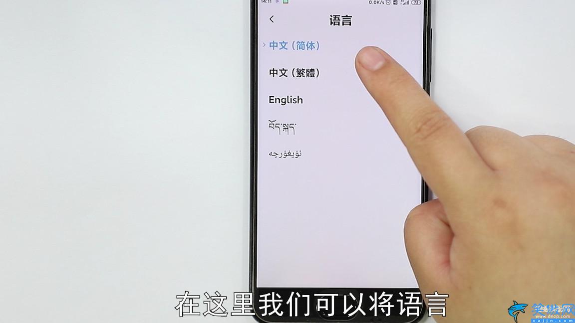 苹果设置中文语言在哪设置,手机简体中文设置步骤