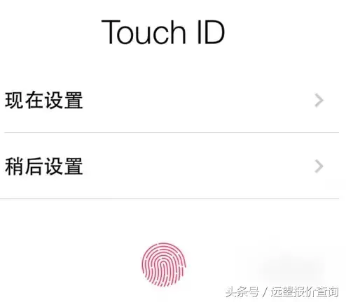 苹果手机13怎么激活使用教程,iPhone新机激活步骤