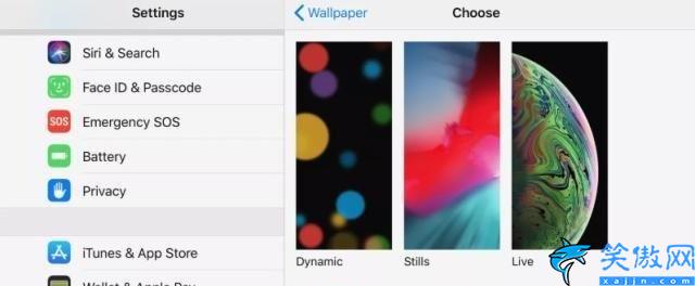 苹果手机怎么换动态壁纸桌面,在iPhone上设置和使用动态壁纸步骤详述