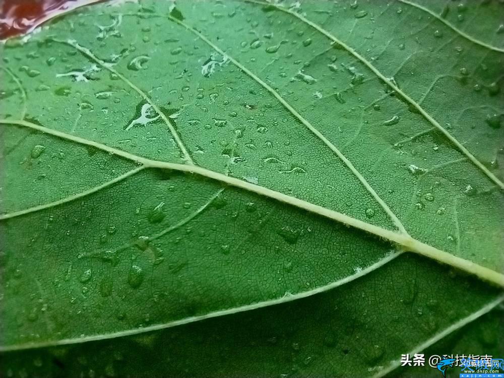 华为麦芒10SE参数配置,大屏麦芒手机的用机不平庸