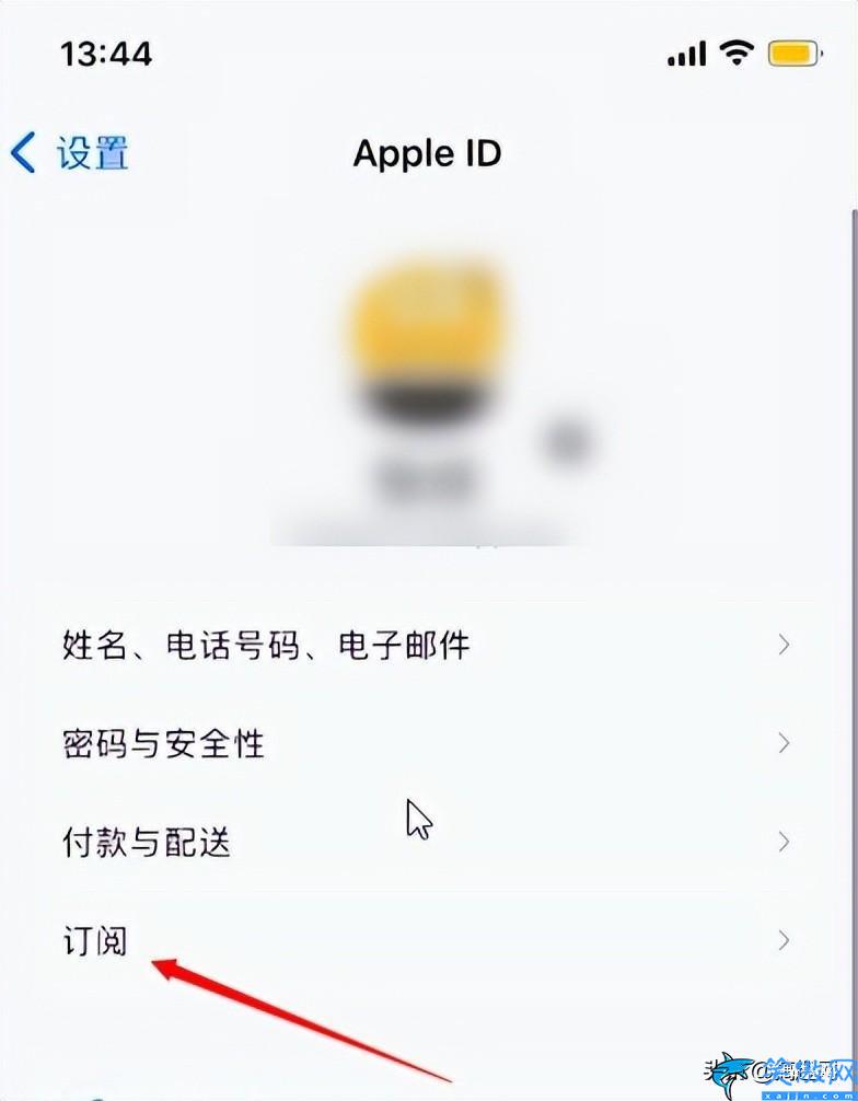 苹果如何退订自动续费软件,iPhone手机自动扣款的关闭方法