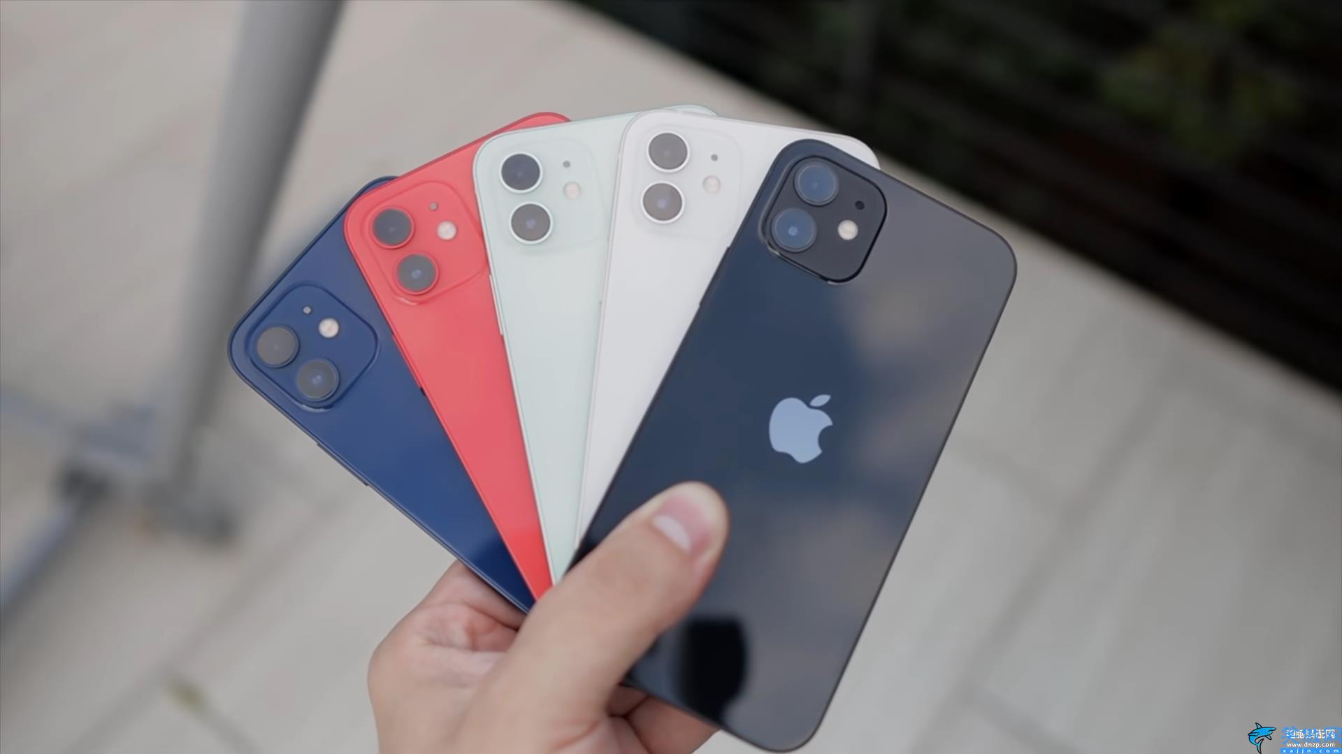 iphone12颜色选哪个色,5款颜色苹果12对比